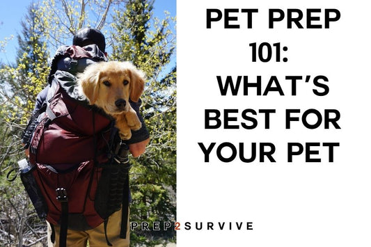 🐾 Pet Prep 101: A Checklist for Survival