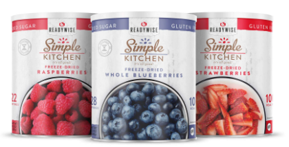 Fruit Snacks - Berry Bundle