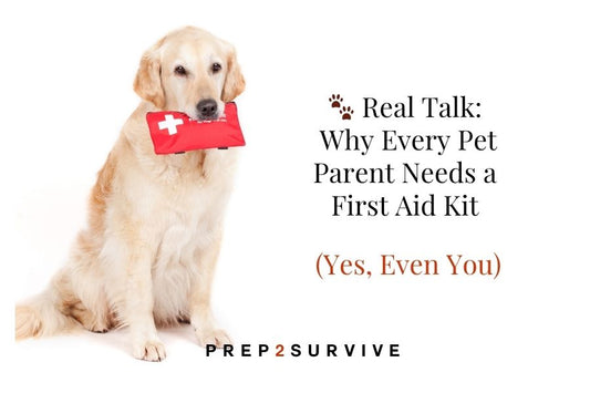 From Scrapes to Snake Bites: Be Ready for Pet Emergencies